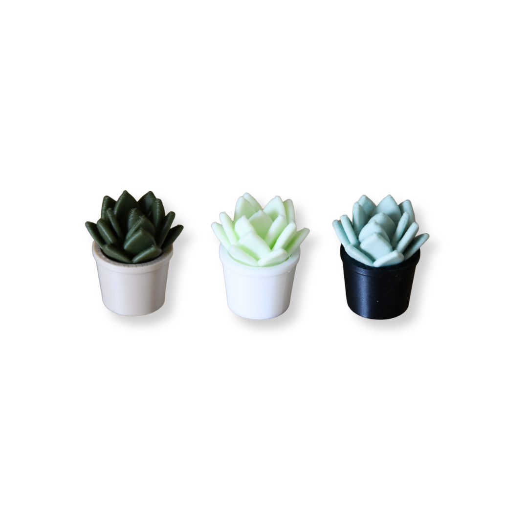Succulent Plant- Mini 1:12 scale