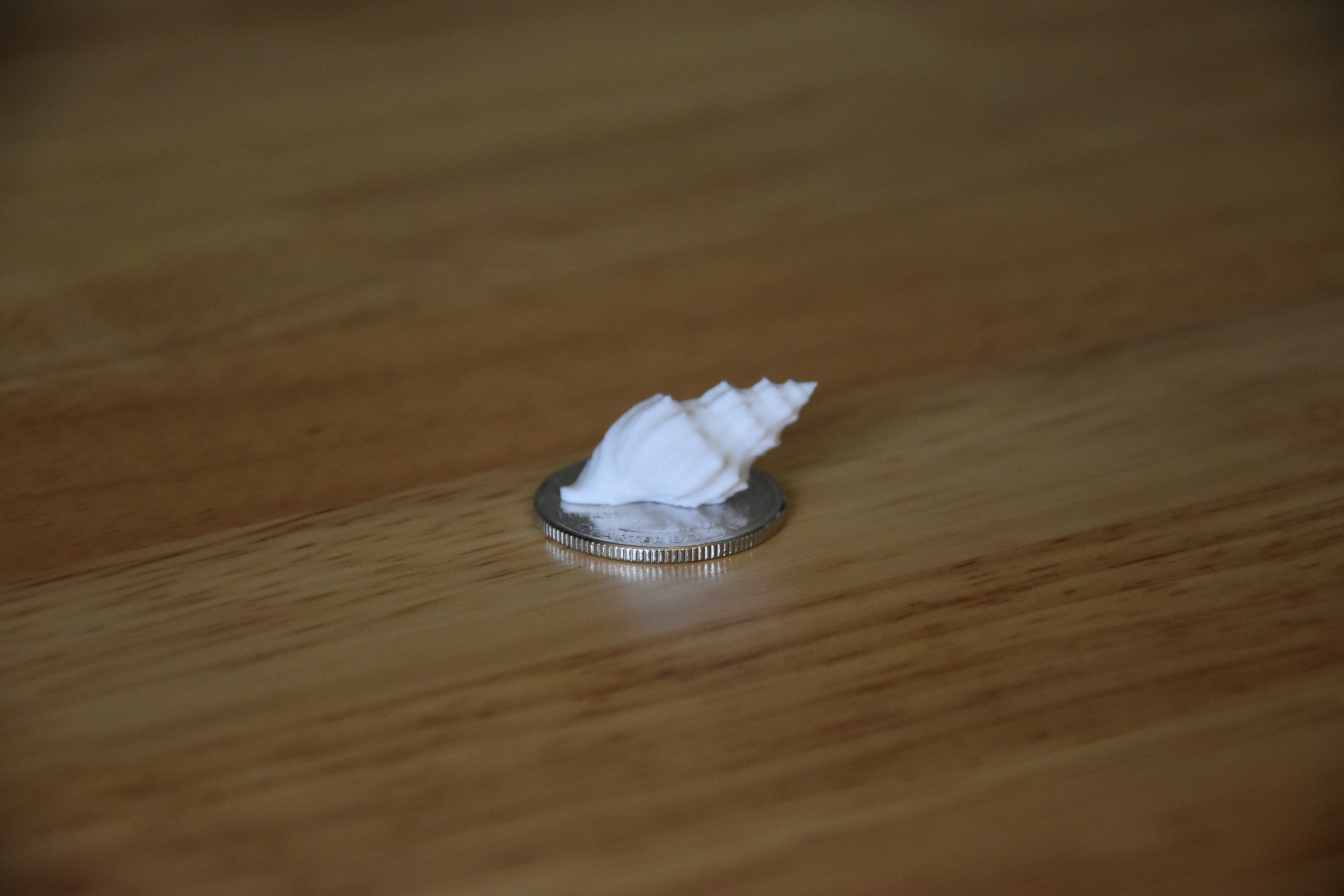 Seashell- Mini 1:12 scale