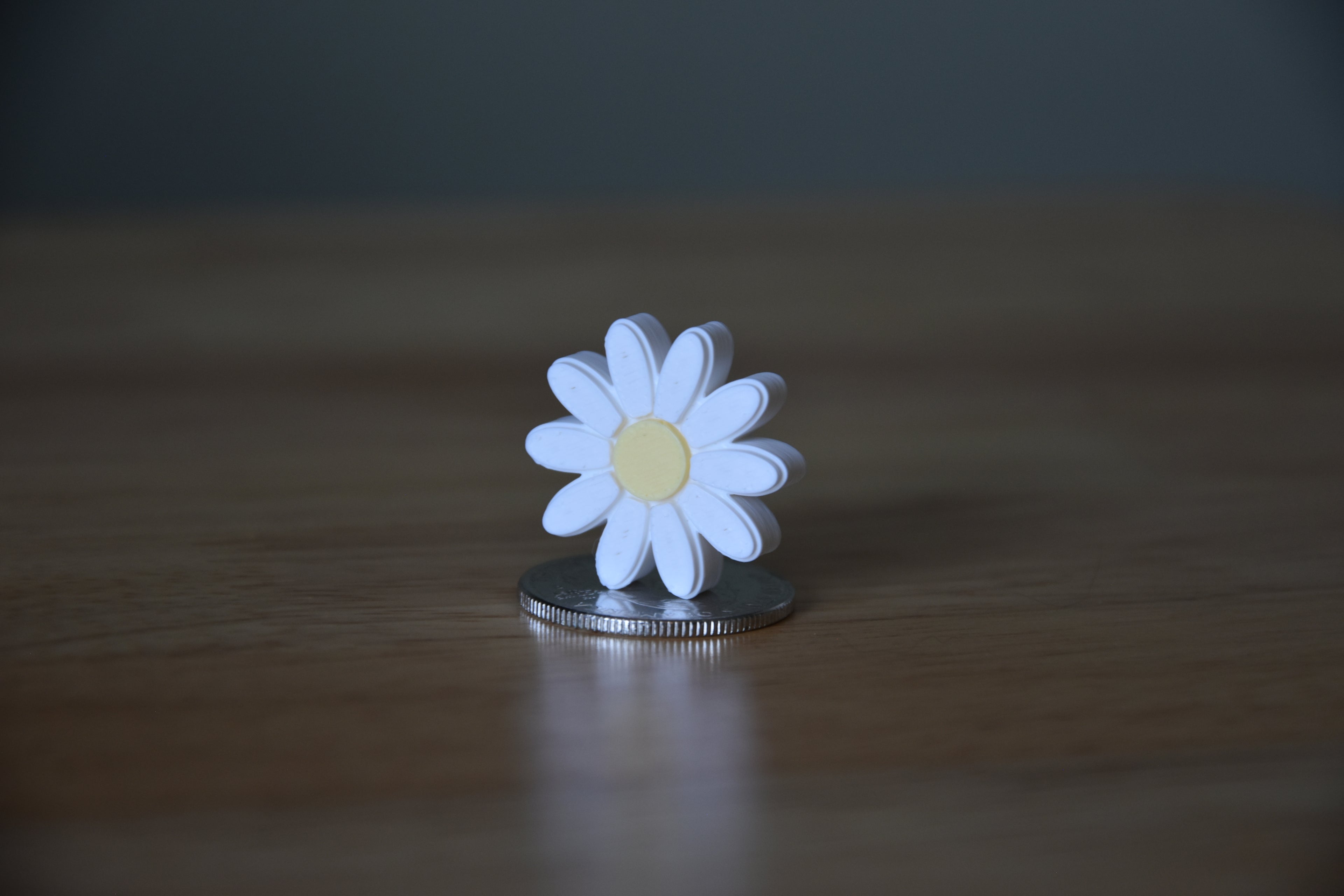 Daisy- Mini 1:12 scale