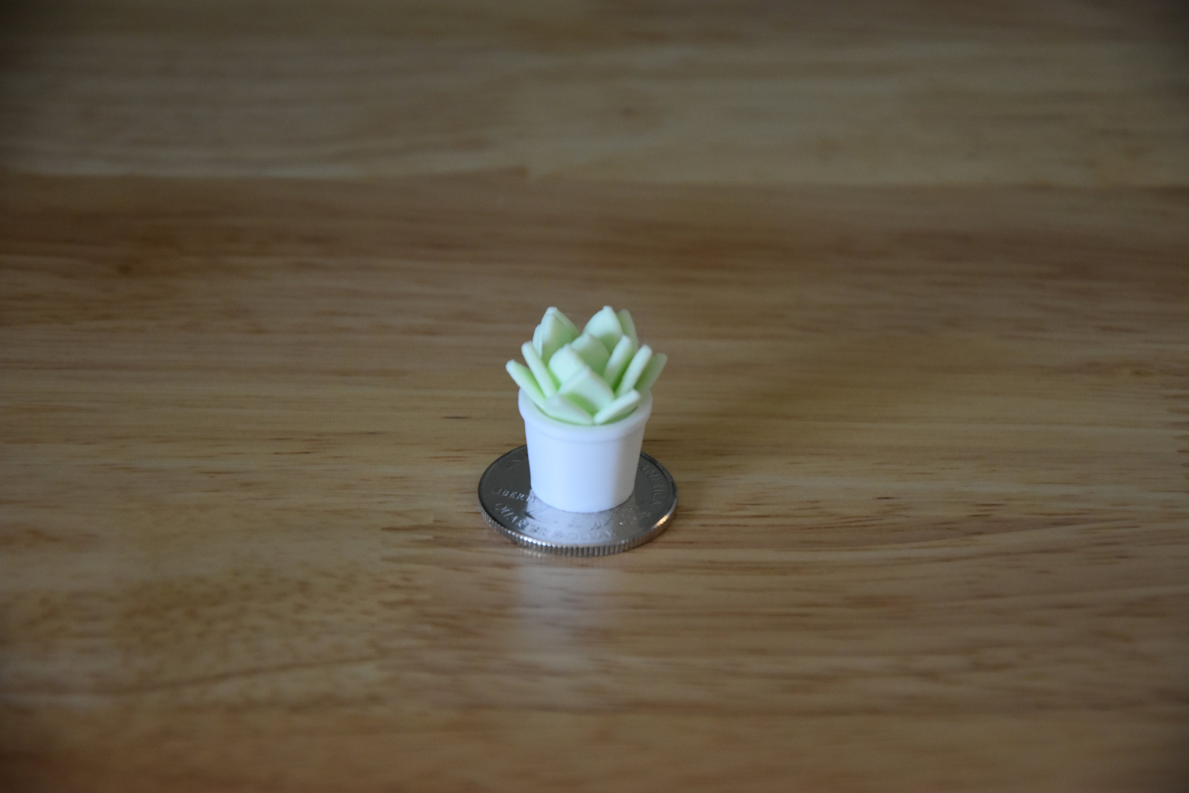 Succulent Plant- Mini 1:12 scale