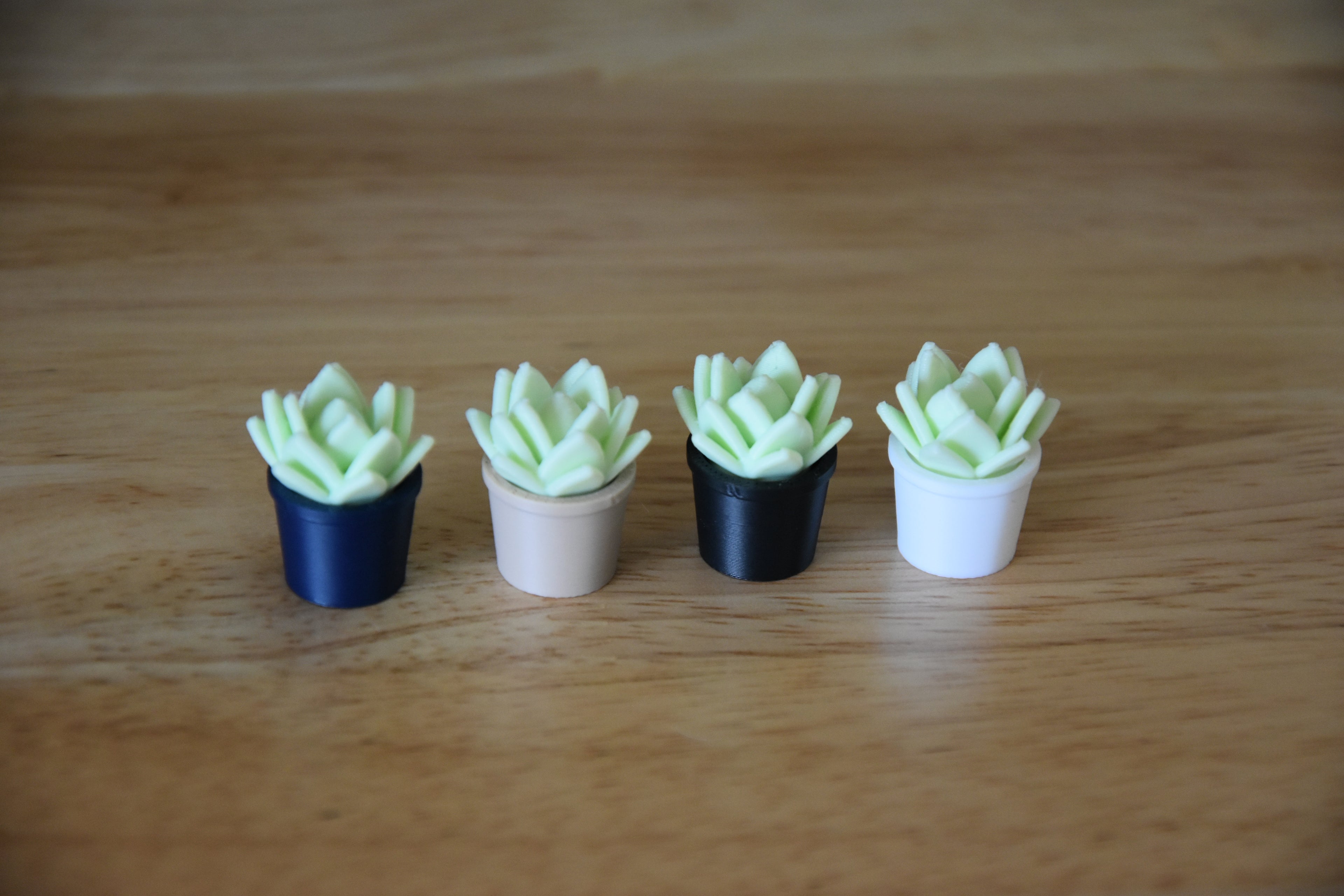 Succulent Plant- Mini 1:12 scale