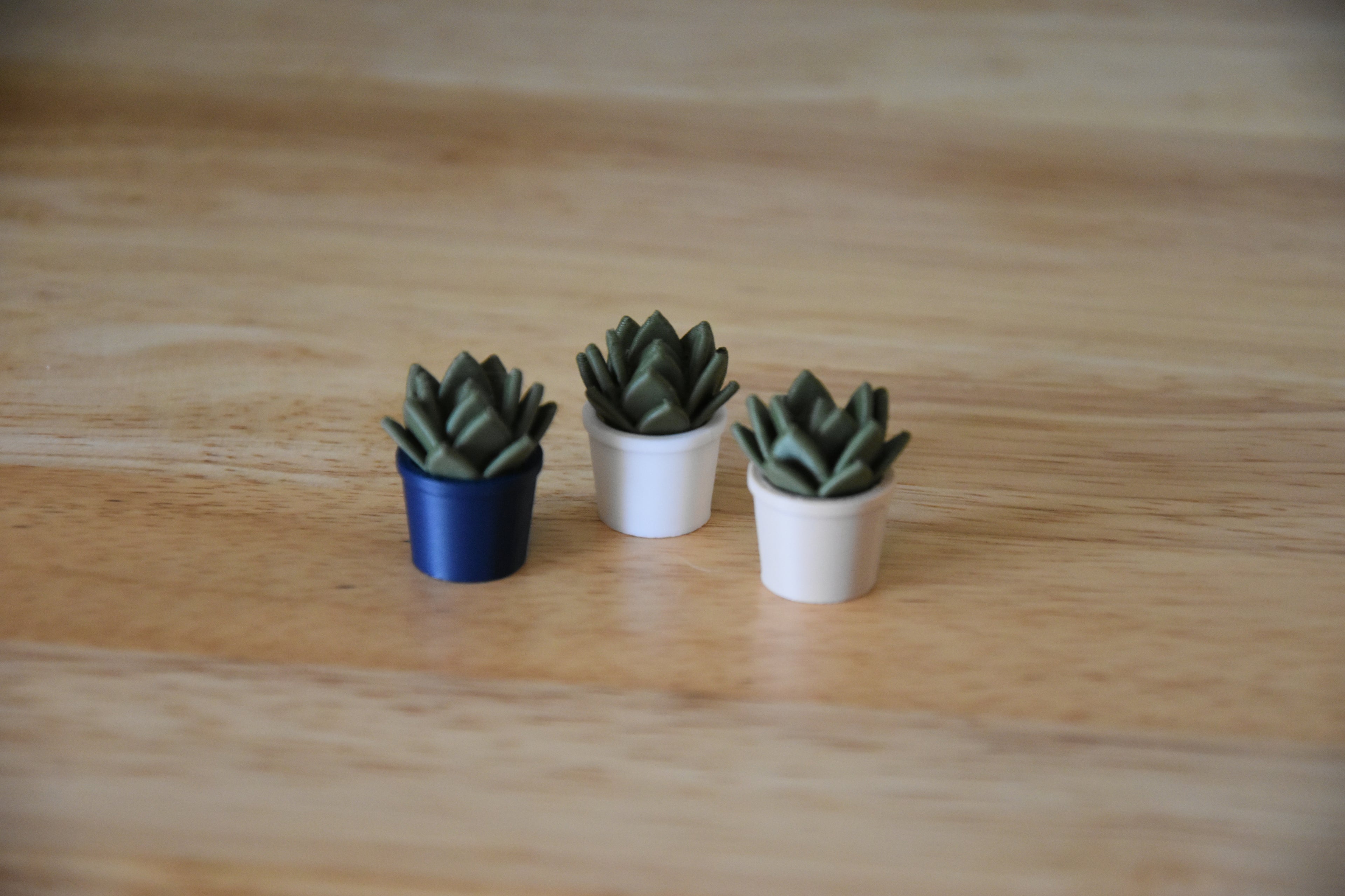 Succulent Plant- Mini 1:12 scale