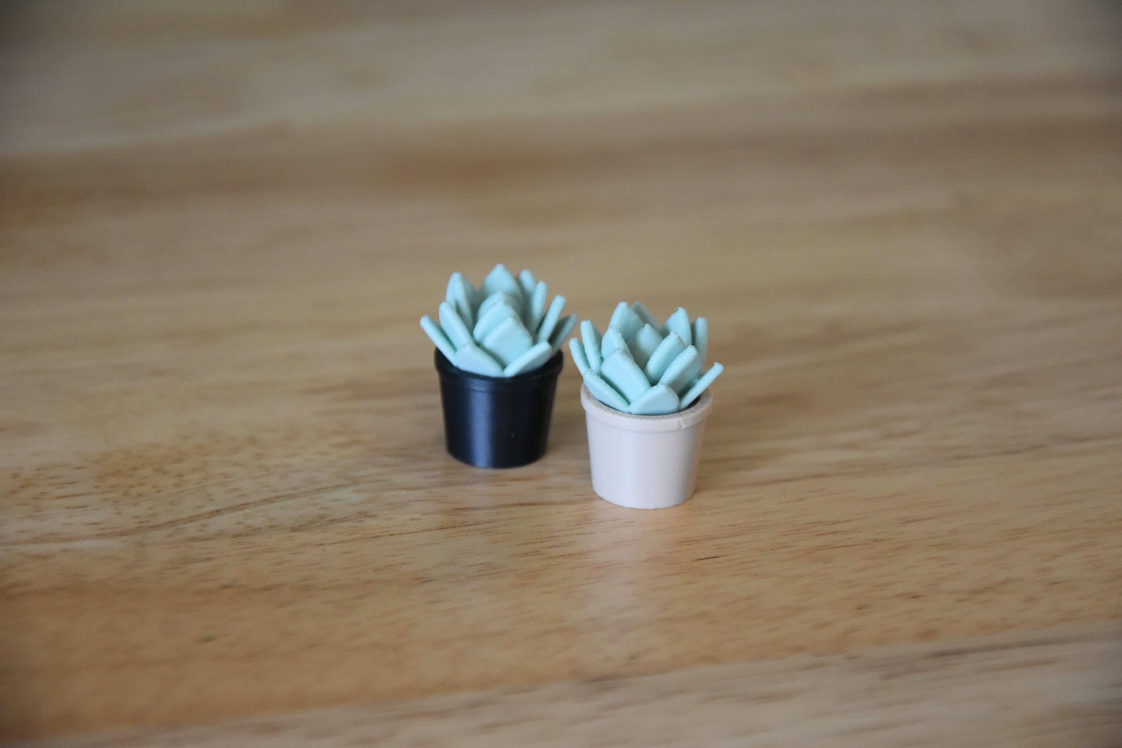 Succulent Plant- Mini 1:12 scale