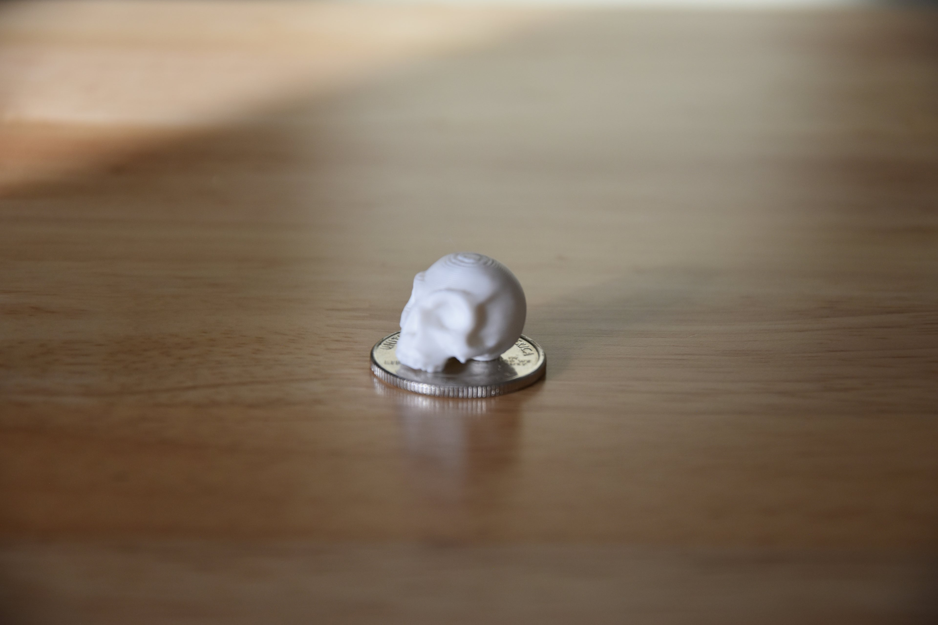 Skull- Mini 1:12 scale