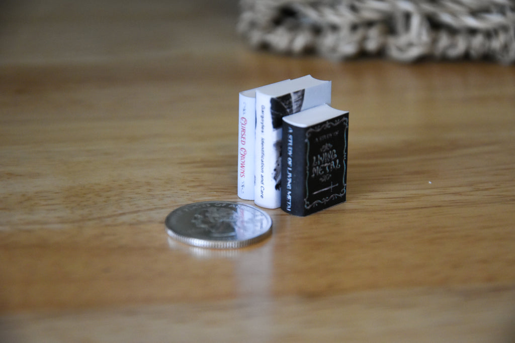 Fantasy Research Books & Guides 12 DIY Mini Books- 1:12 scale