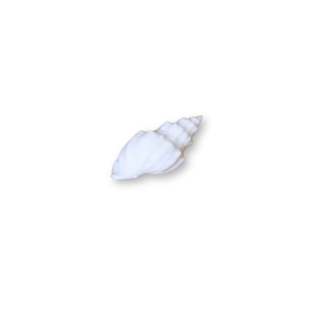 Seashell- Mini 1:12 scale